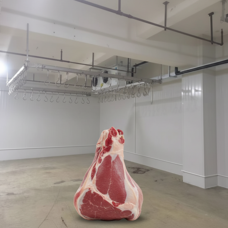 上秋制冷冷庫 (10)